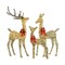 Champagne Woven Vine Set of 3 Reindeer with Warm White LED Lights for Holiday Decor 63" 52" & 37" Height